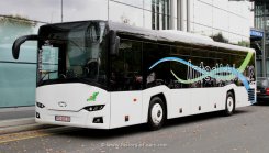 Solaris InterUrbino 12 2012